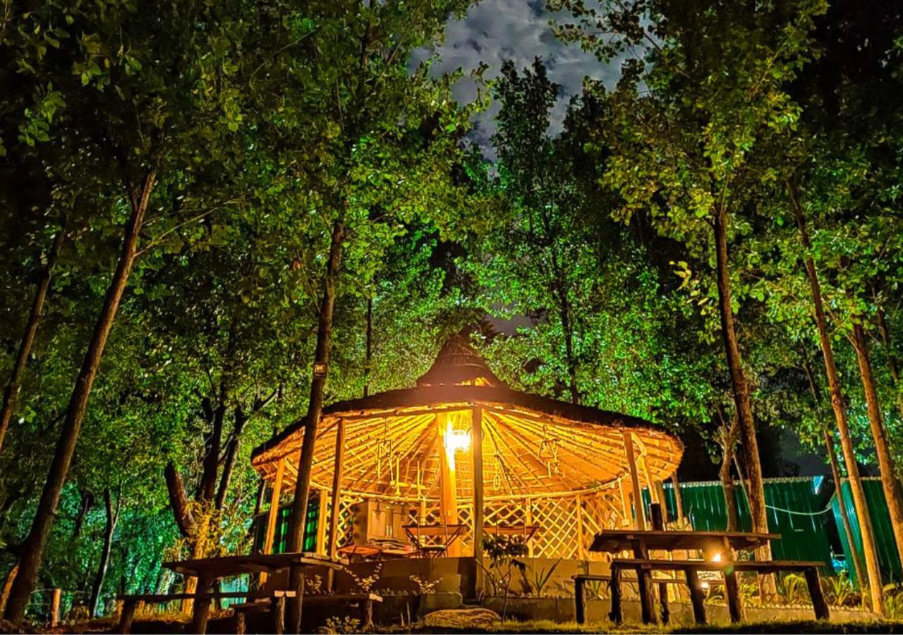 Dev Bhoomi Farms & Cottages Dharamshala Eksteriør bilde
